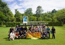 政府拨款资助「树木管理」课程 毕业生就业前景乐观