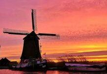 2021留学荷兰怎么选择适合自己的专业和学校