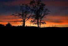 留学新西兰:想知道新西兰研究生怎么申请吗?