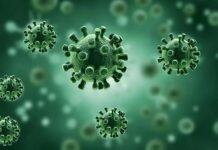 芬兰发现一种新型变异新冠病毒 核酸检测恐难检出