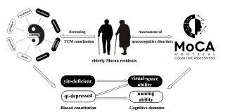 澳门大学的研究团队首次揭示中医体质与澳门长者认知功能障碍之间存在明显相关性