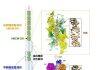 研究揭示DNA解旋机制 为癌症治疗带来新曙光