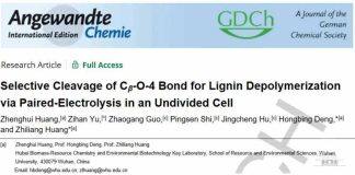 黄志良/邓红兵教授团队在生物质高值转化领域取得新成果