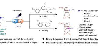 孔望清课题组在立体选择性和位点多样性合成碳糖苷领域取得新进展
