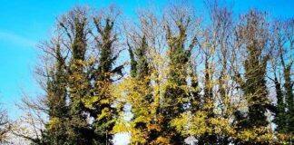 2024软科世界一流学科排名发布 英国萨塞克斯大学五个学科全球前百